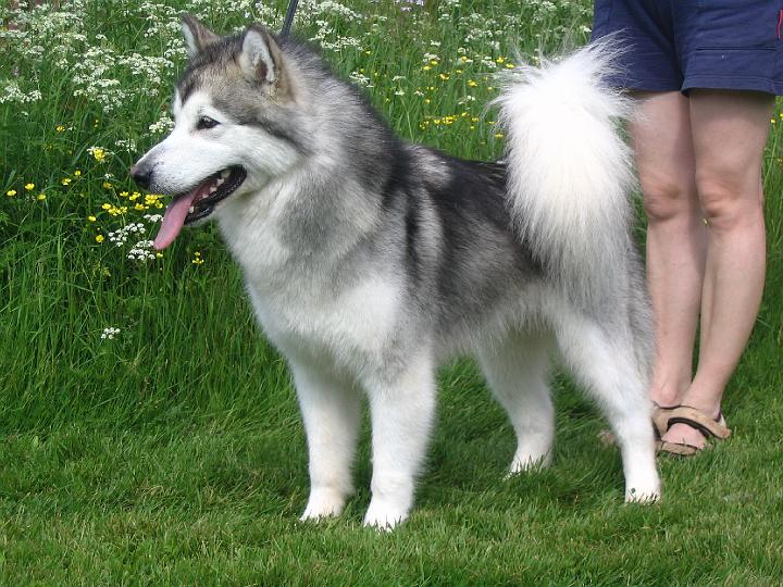 Awa heinak-08_018.jpg